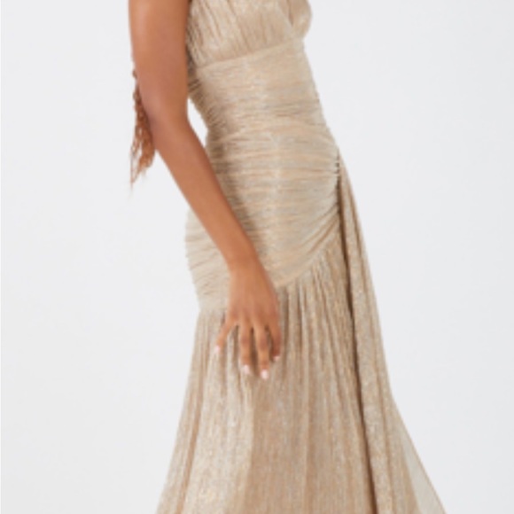 BCBG Metallic Gold Gown XS - Picture 4 of 13